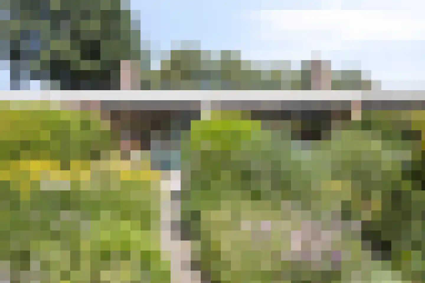 Holtlaan 225 Emmen thumbnail 21