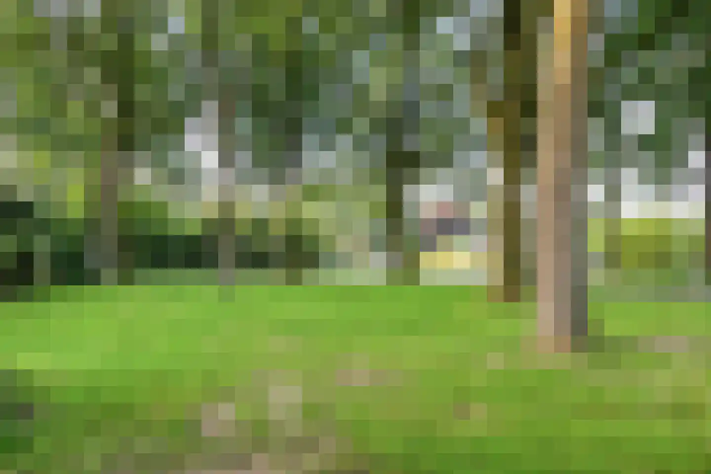 Holtlaan 245 Emmen thumbnail 24
