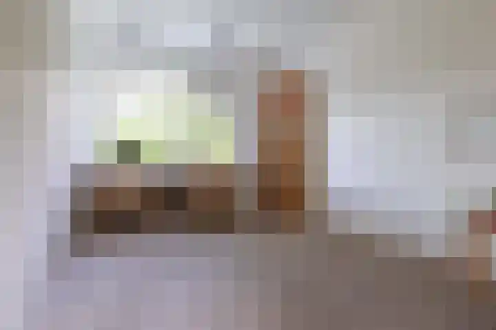 Holtlaan 281 Emmen thumbnail 25