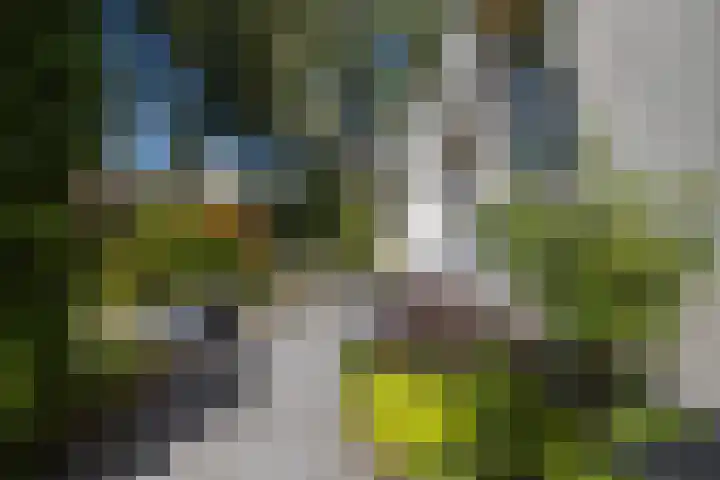 Holtlaan 281 Emmen thumbnail 26
