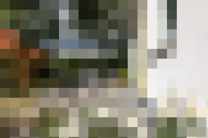 Holtlaan 281 Emmen thumbnail 27