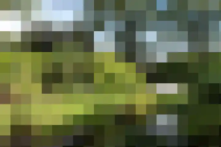 Holtlaan 281 Emmen thumbnail 28
