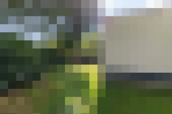 Holtlaan 281 Emmen thumbnail 29