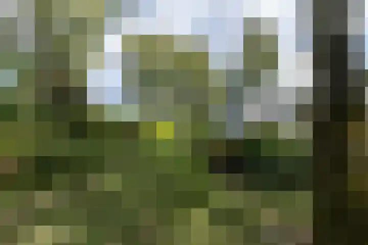 Holtlaan 281 Emmen thumbnail 30