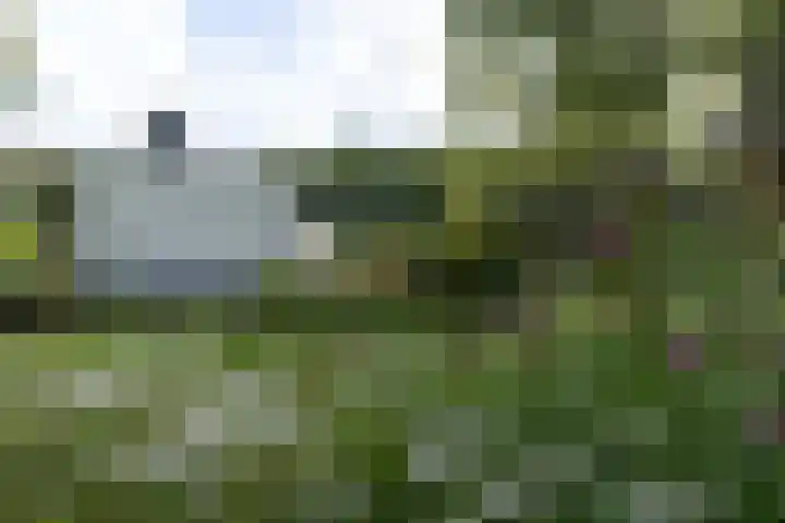 Holtlaan 281 Emmen thumbnail 32