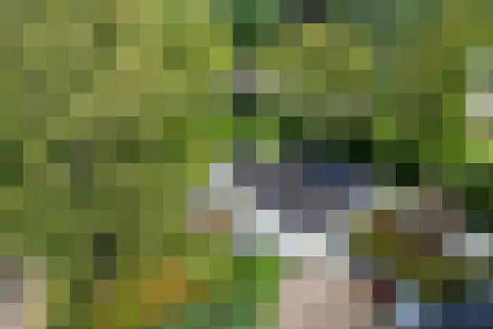 Holtlaan 281 Emmen thumbnail 35