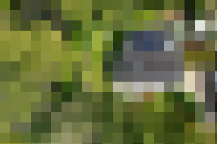 Holtlaan 281 Emmen thumbnail 36