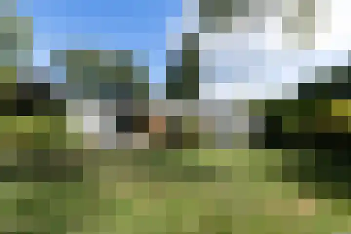 Holtlaan 281 Emmen thumbnail 37