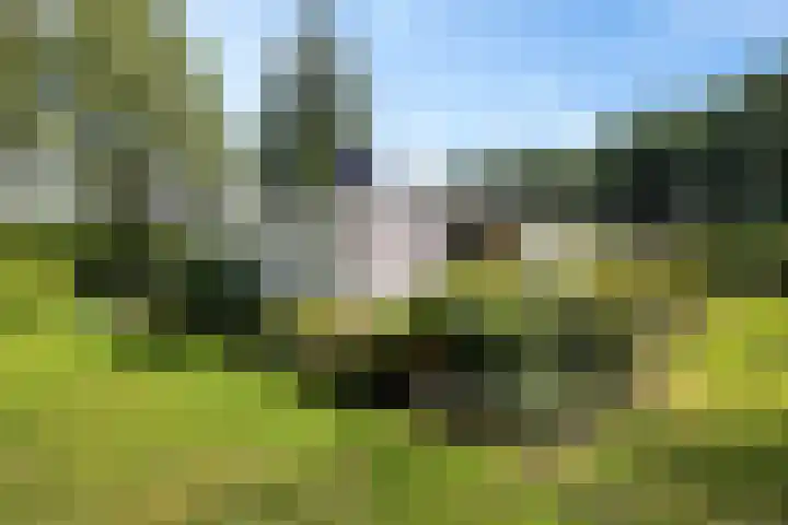 Holtlaan 281 Emmen thumbnail 5