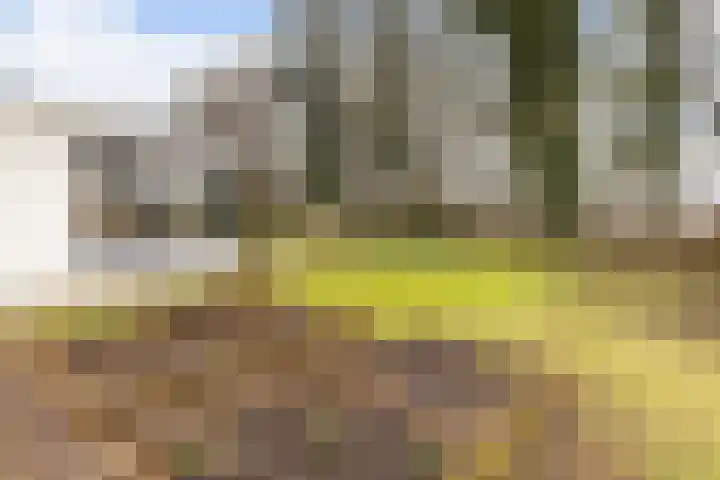 Holtlaan 283 Emmen thumbnail 44