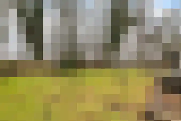 Holtlaan 283 Emmen thumbnail 47