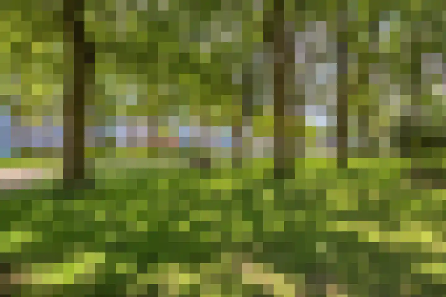 Holtlaan 63 Emmen thumbnail 39