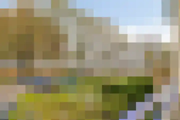 Holtlaan 93 Emmen thumbnail 11