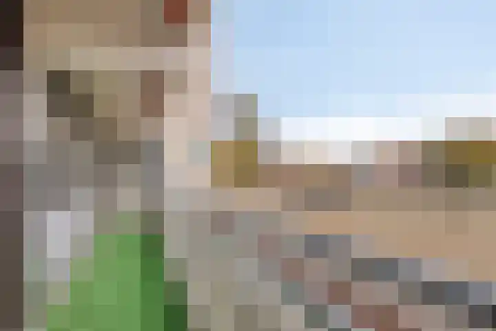 Holtlaan 93 Emmen thumbnail 17