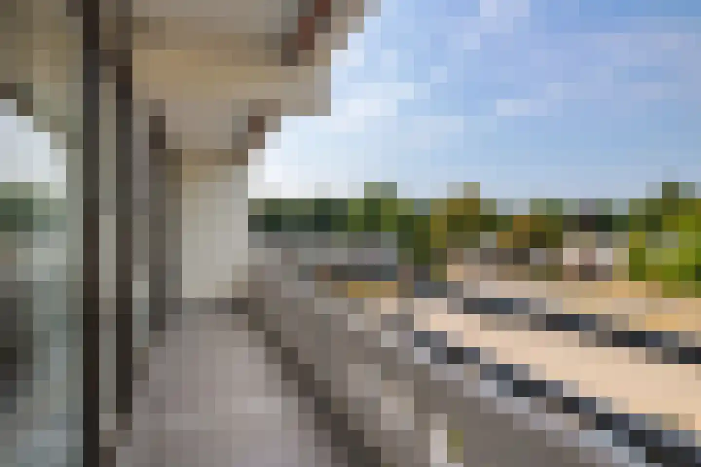 Holtlaan 97 Emmen thumbnail 11