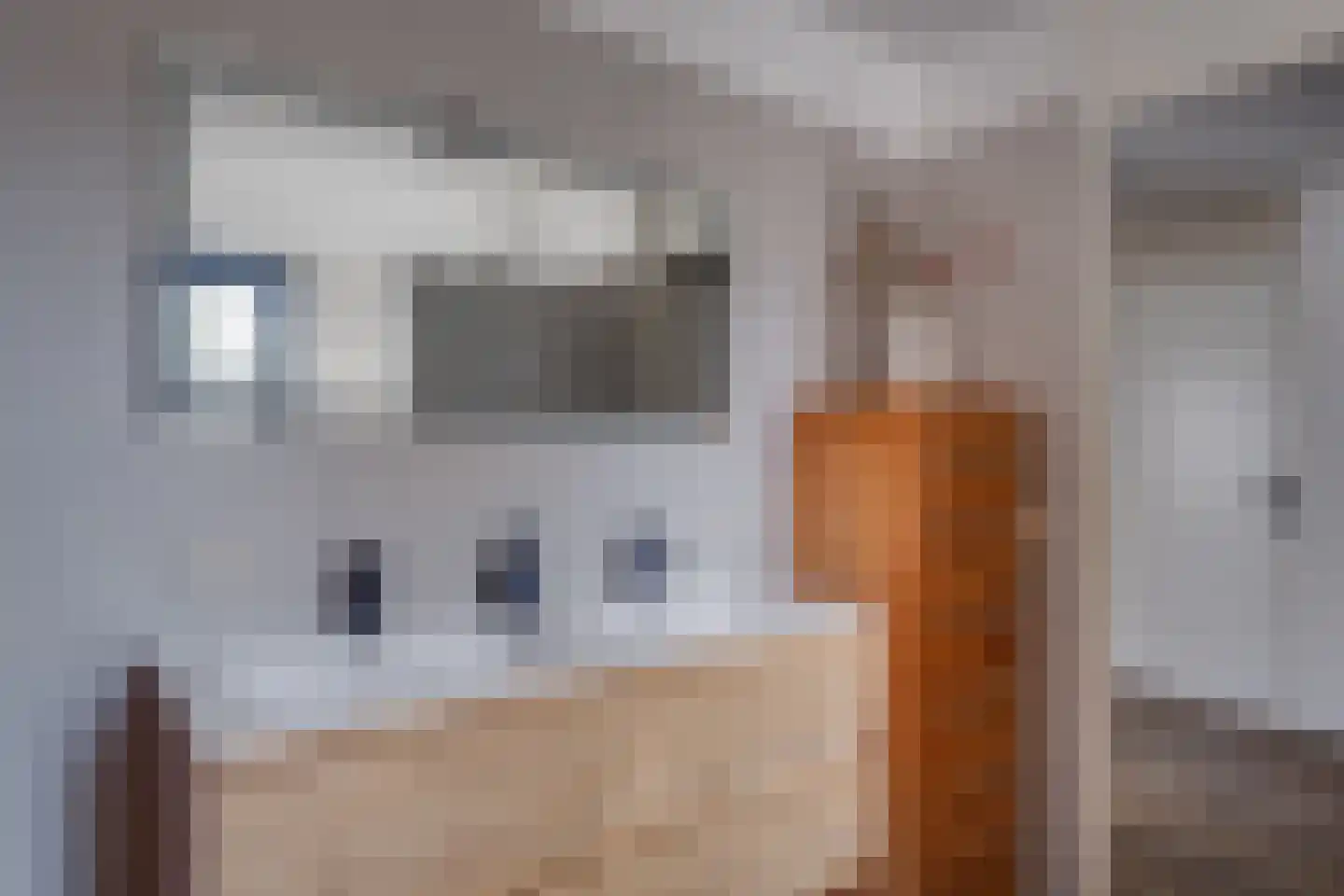 Holtmaet 4 Vorden thumbnail 18