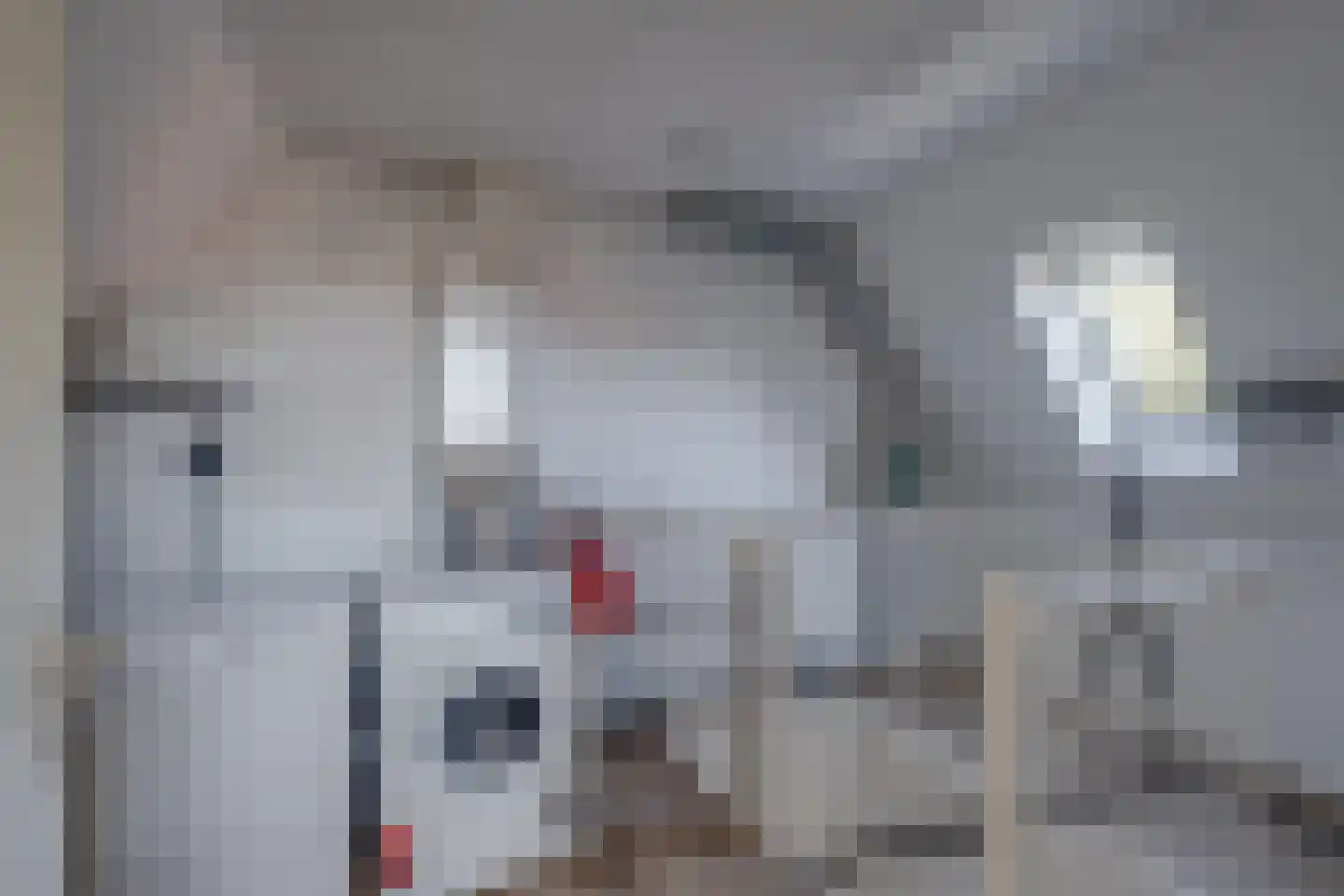 Holtmaet 4 Vorden thumbnail 21