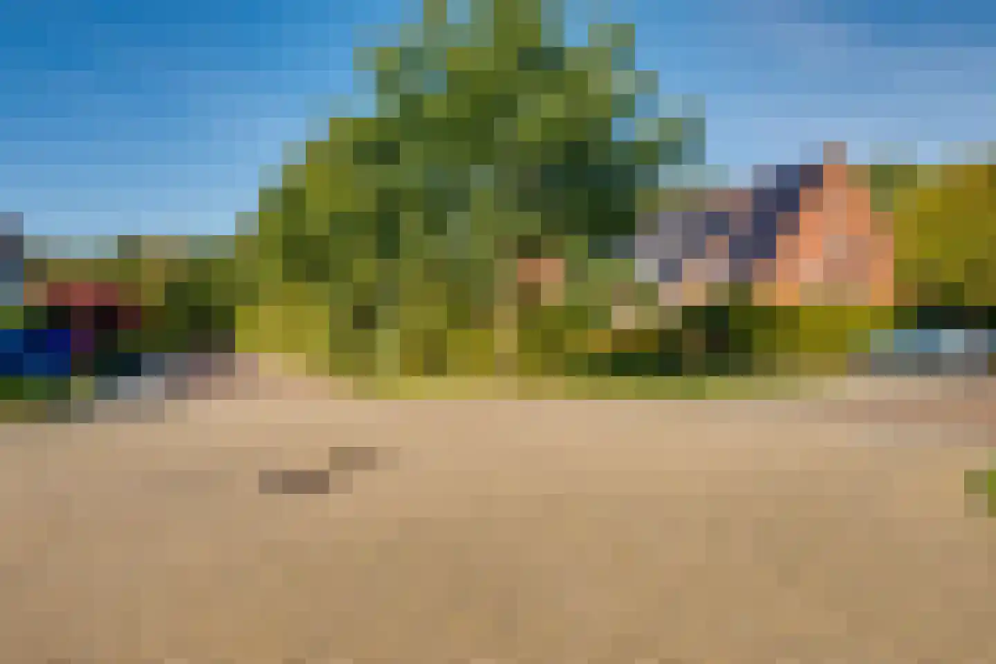 Holtmaet 4 Vorden thumbnail 29