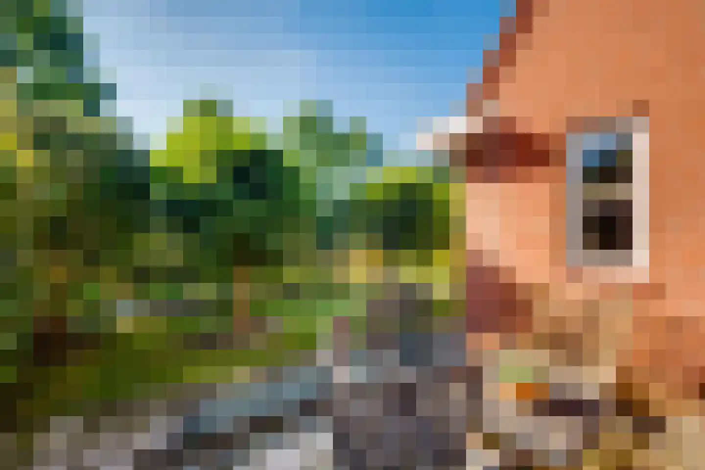 Holtmaet 4 Vorden foto 3