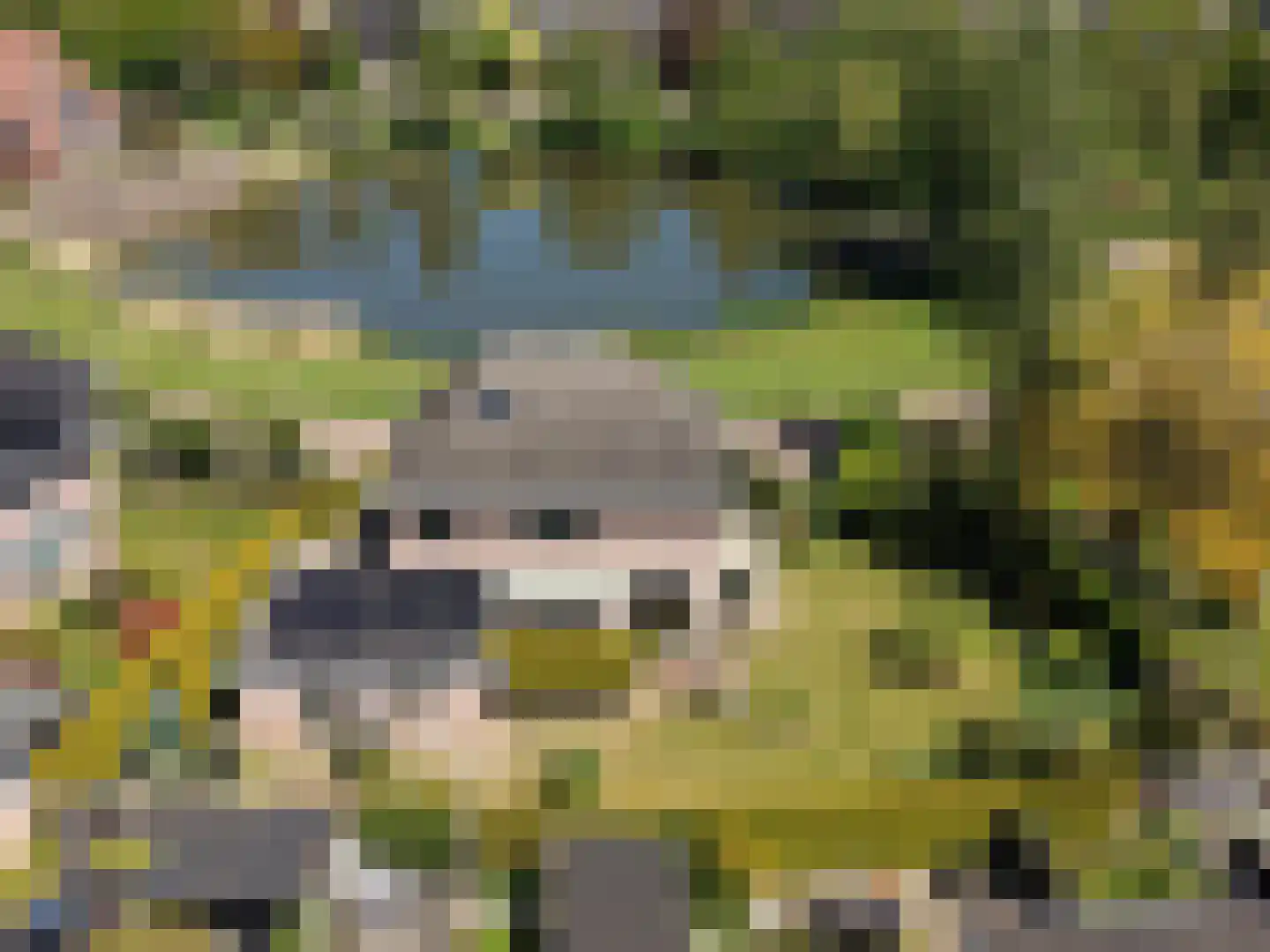 Holtmaet 5 Vorden thumbnail 53