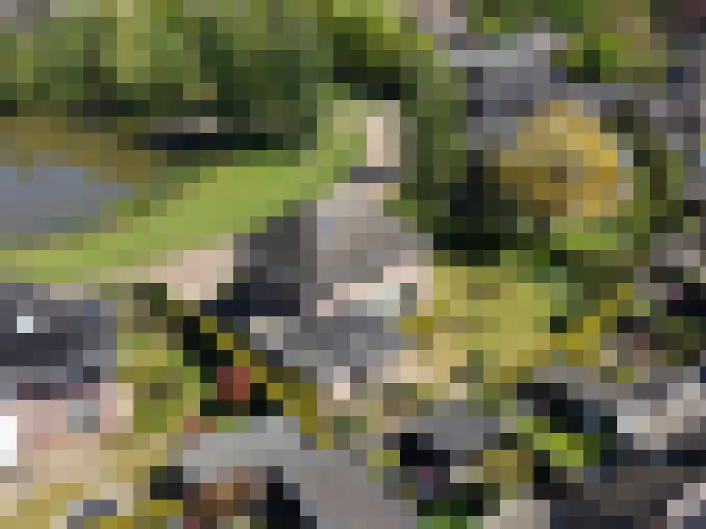 Holtmaet 5 Vorden thumbnail 54