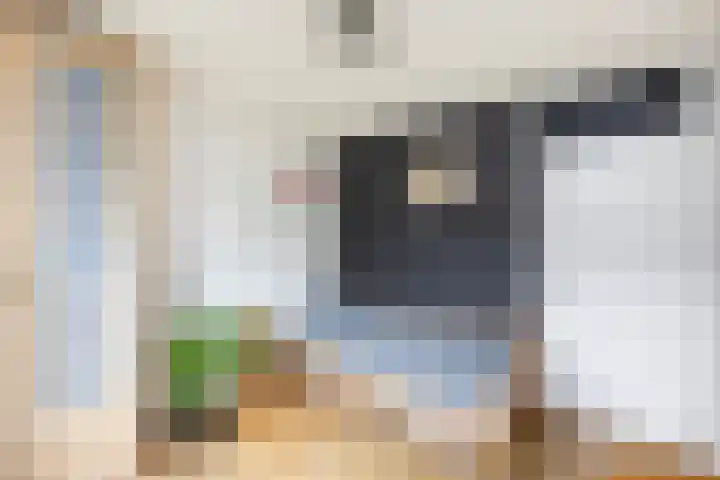 Holtmate 14 Zwolle thumbnail 18