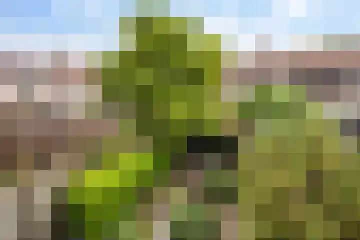 Holtmate 14 Zwolle thumbnail 30