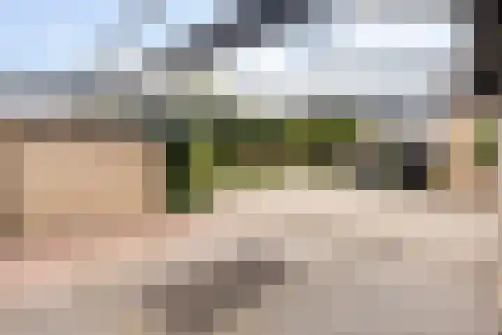 Holtmate 14 Zwolle thumbnail 32