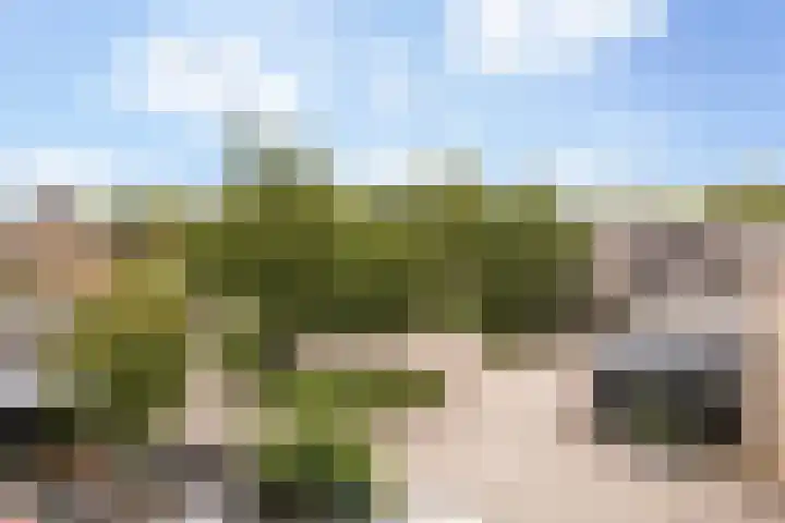 Holtmate 14 Zwolle thumbnail 33