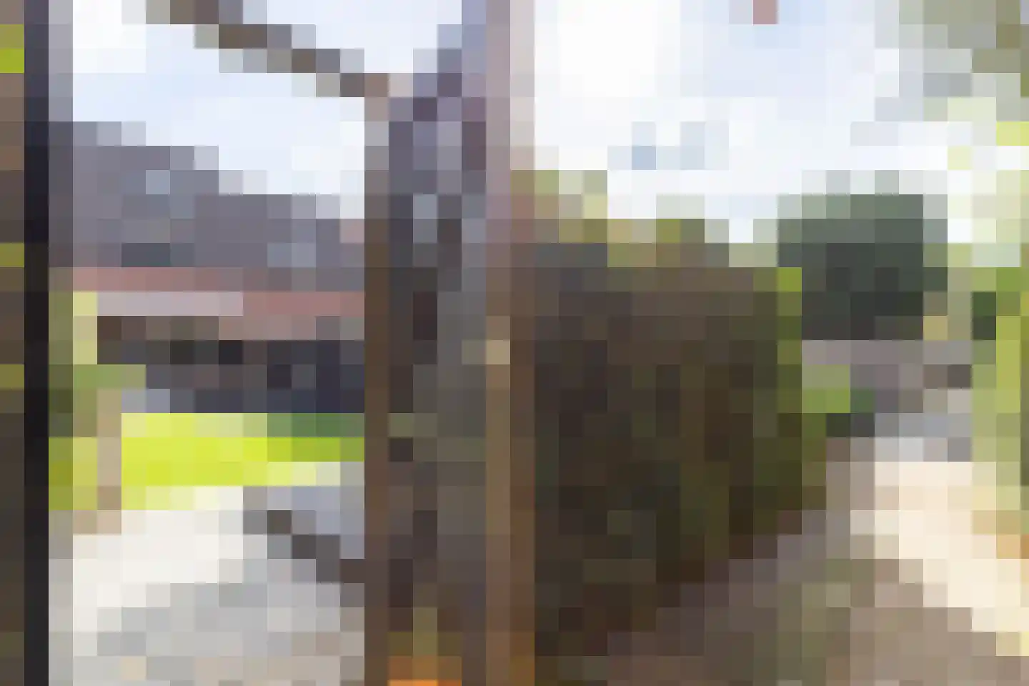 Holtmate 19 Doetinchem thumbnail 39
