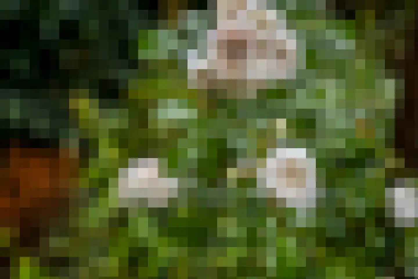 Holtmate 2 Zwolle thumbnail 30