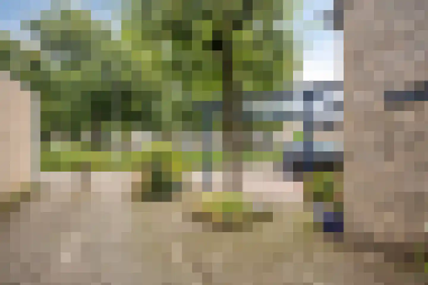 Holtmate 2 Zwolle thumbnail 4