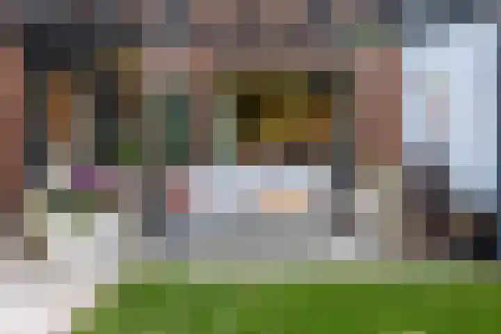 Holtmate 41 Doetinchem thumbnail 16