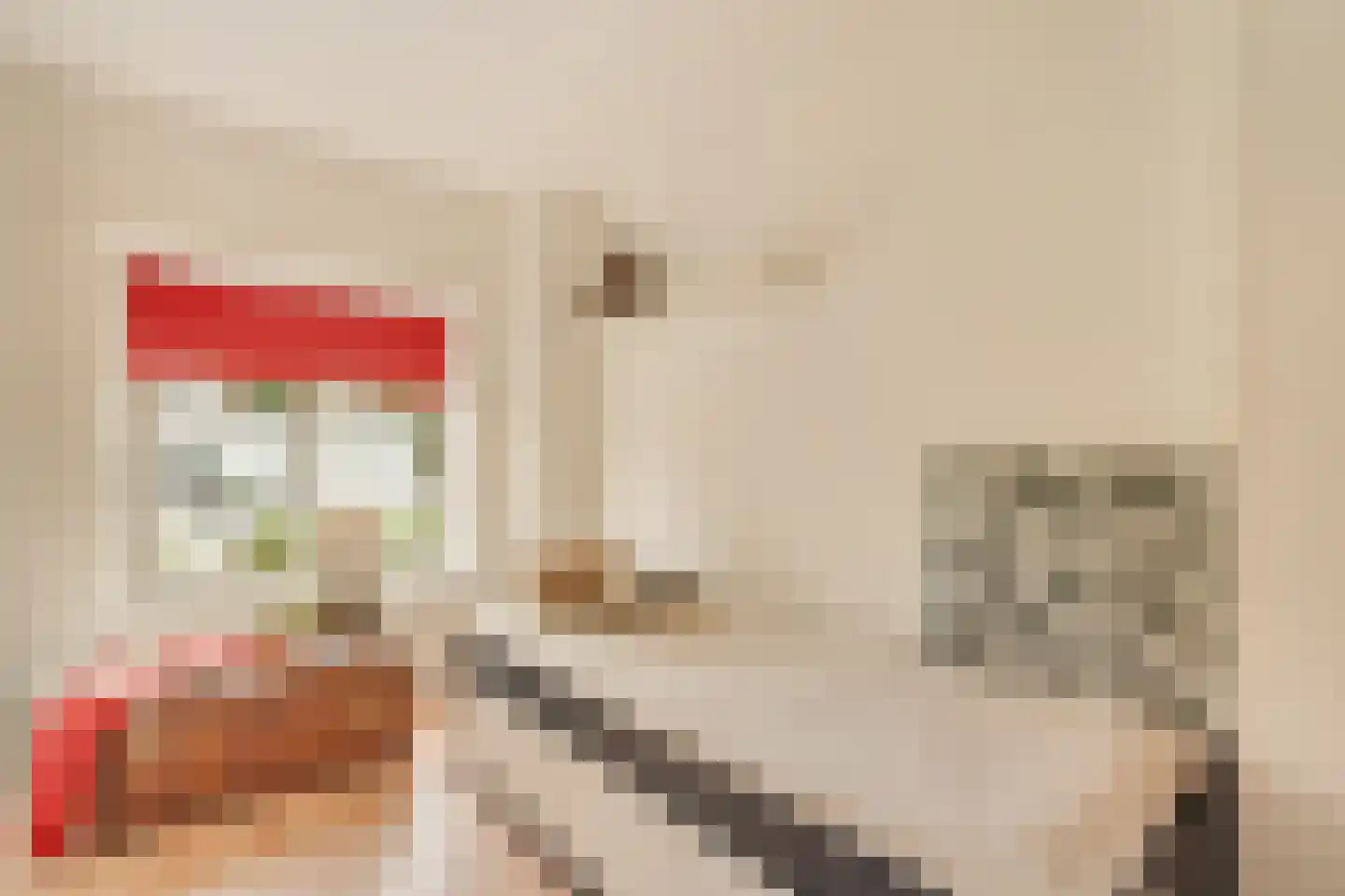 Holtmeulen 28 Amsterdam thumbnail 26
