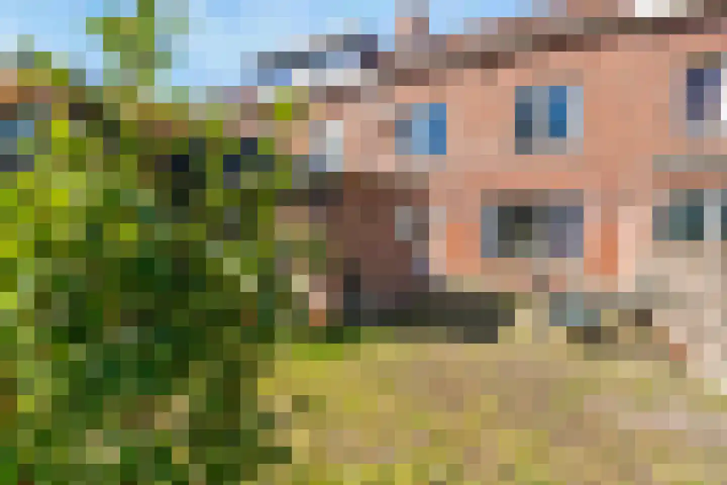 Holtmühlestraat 28 Tegelen thumbnail 10