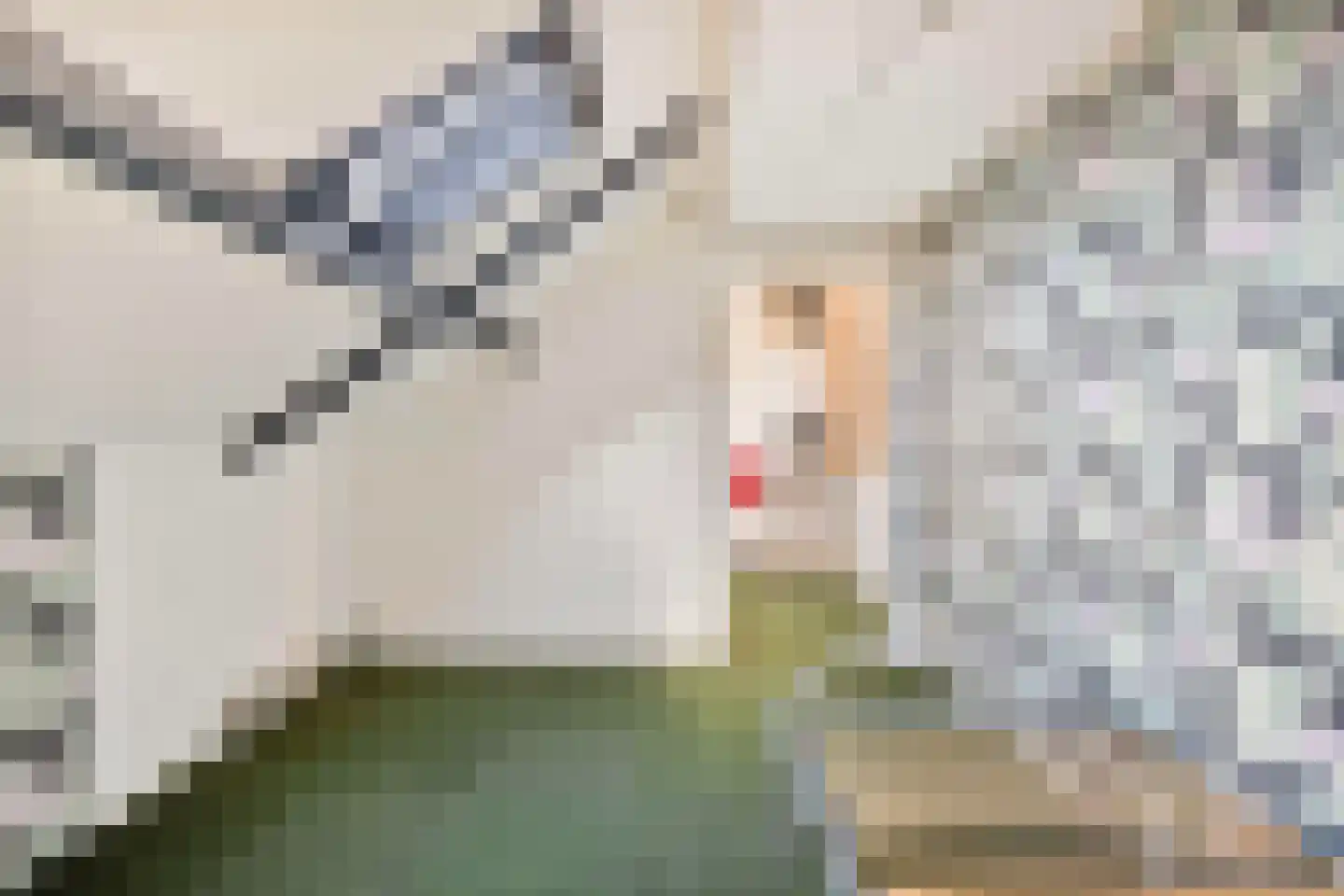 Holtmühlestraat 28 Tegelen thumbnail 28