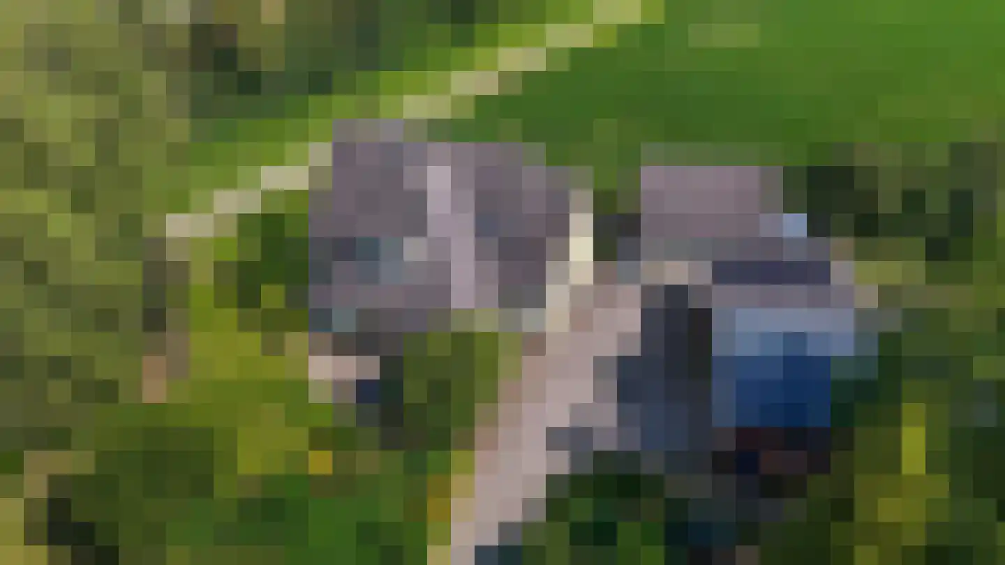 Holtpasweg 3 Beek thumbnail 10