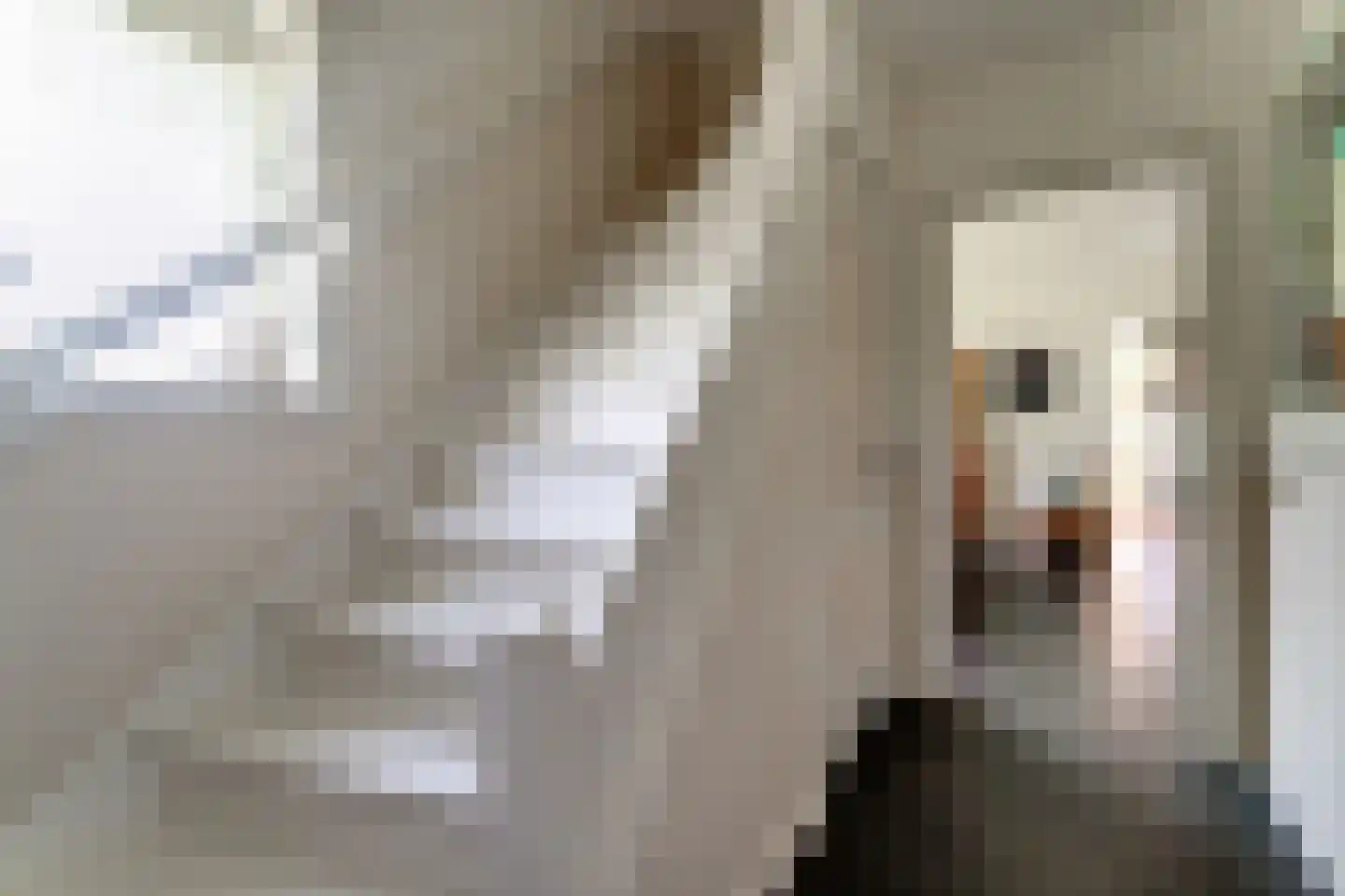 Holtpasweg 3 Beek thumbnail 11