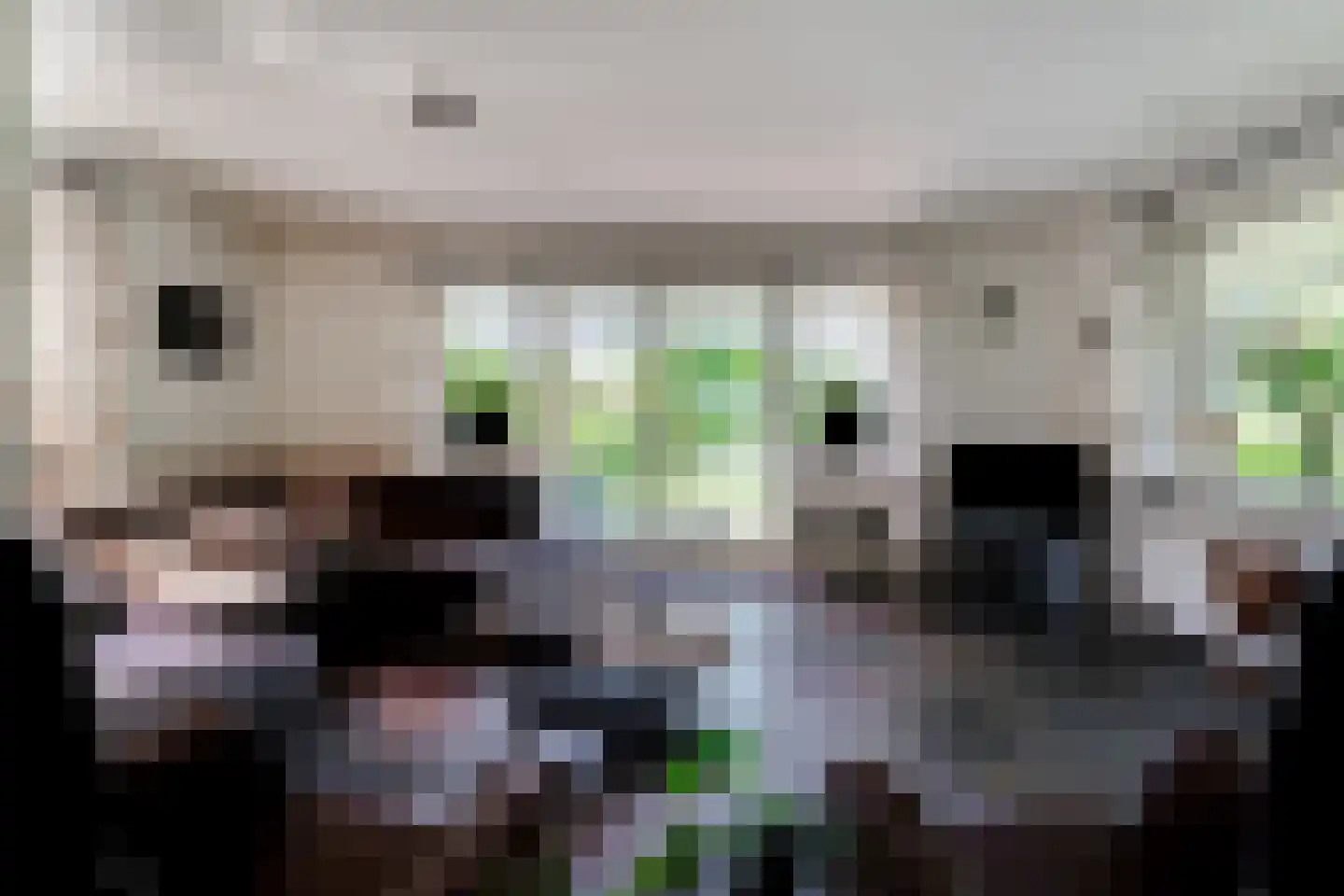 Holtpasweg 3 Beek thumbnail 14