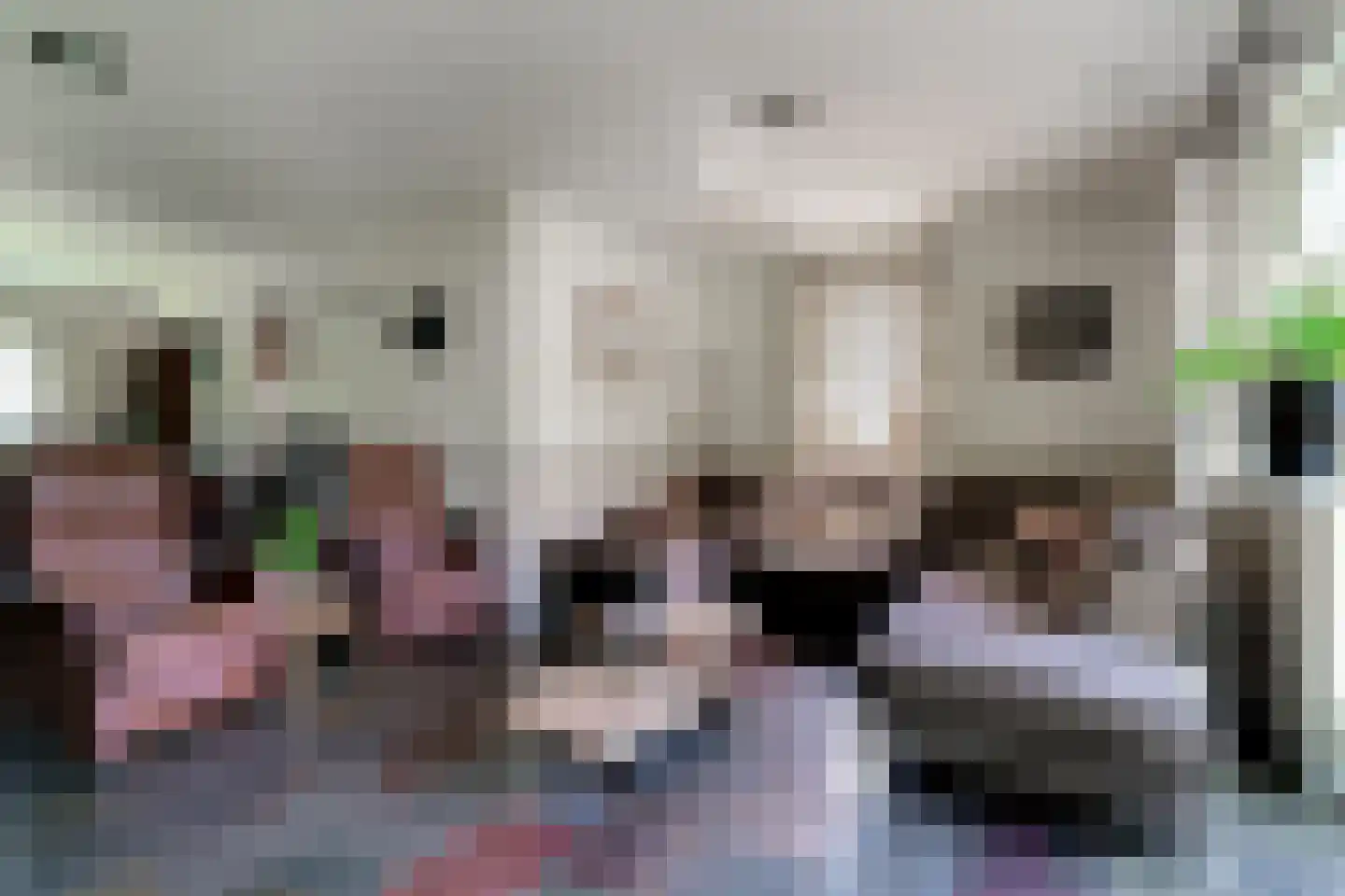 Holtpasweg 3 Beek thumbnail 16