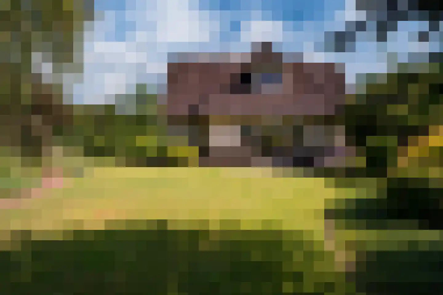 Holtpasweg 3 Beek thumbnail 31