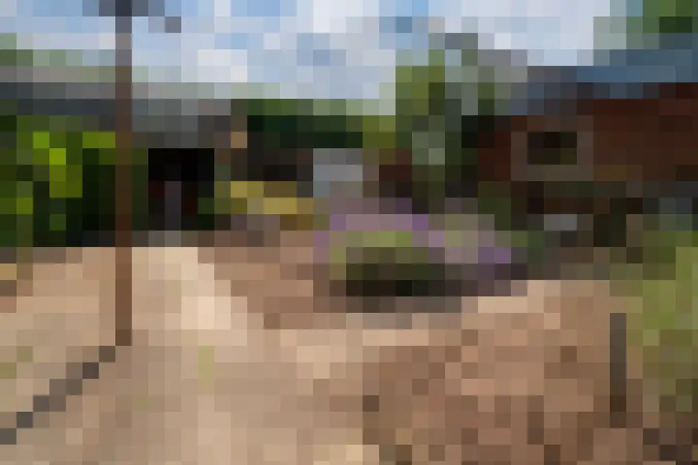 Holtpasweg 3 Beek thumbnail 33