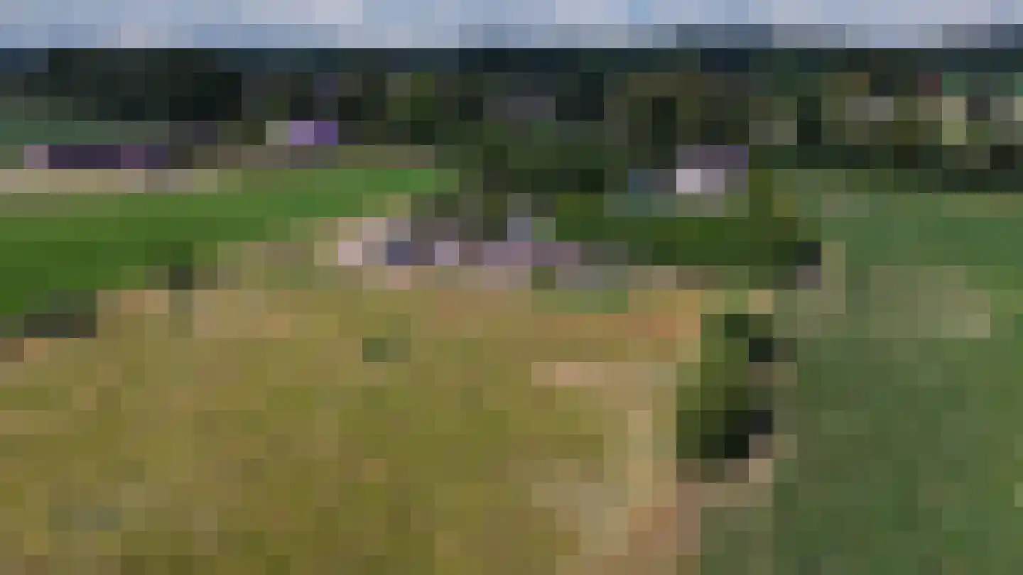 Holtpasweg 3 Beek thumbnail 4