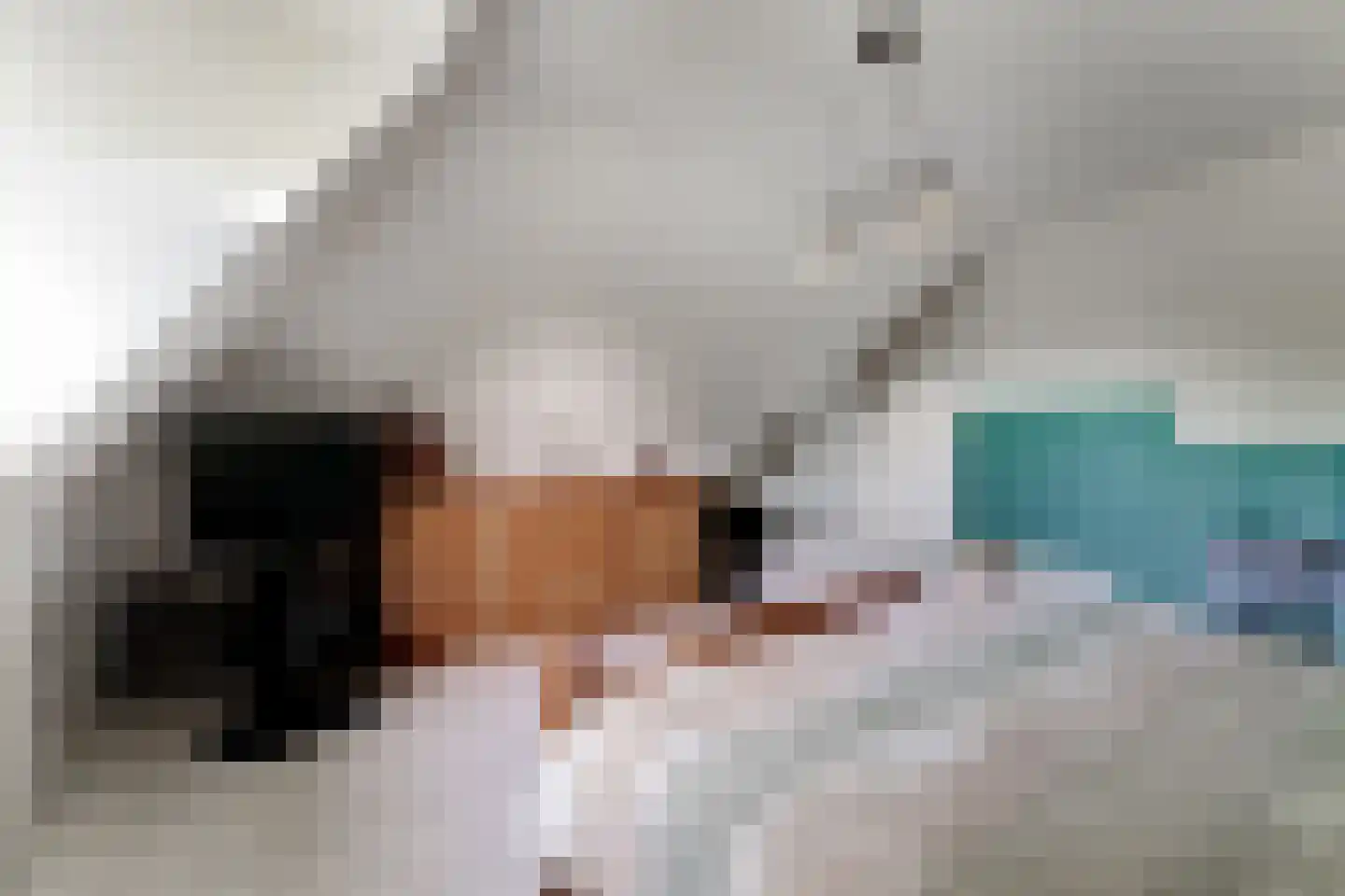 Holtpasweg 3 Beek thumbnail 42