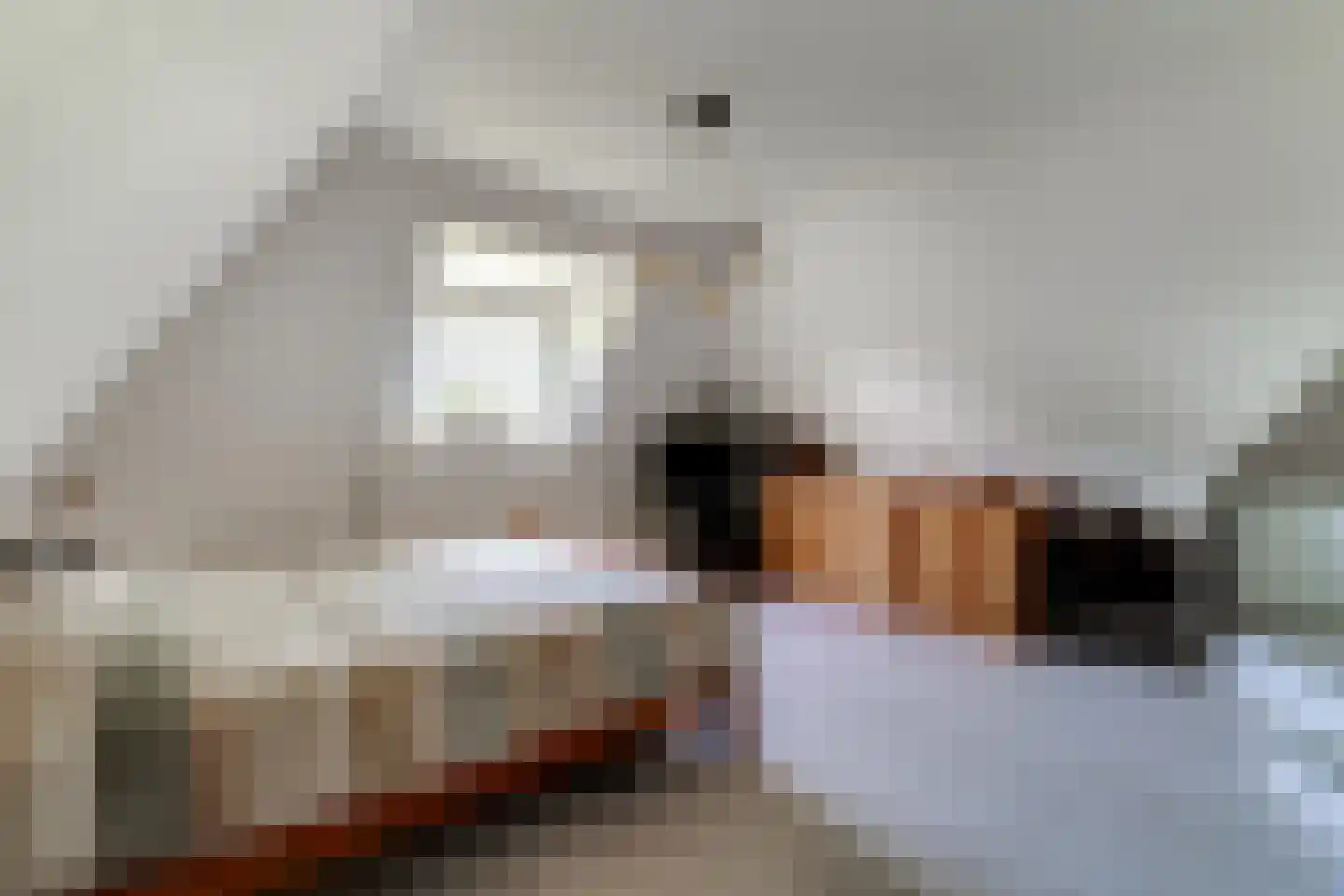 Holtpasweg 3 Beek thumbnail 44