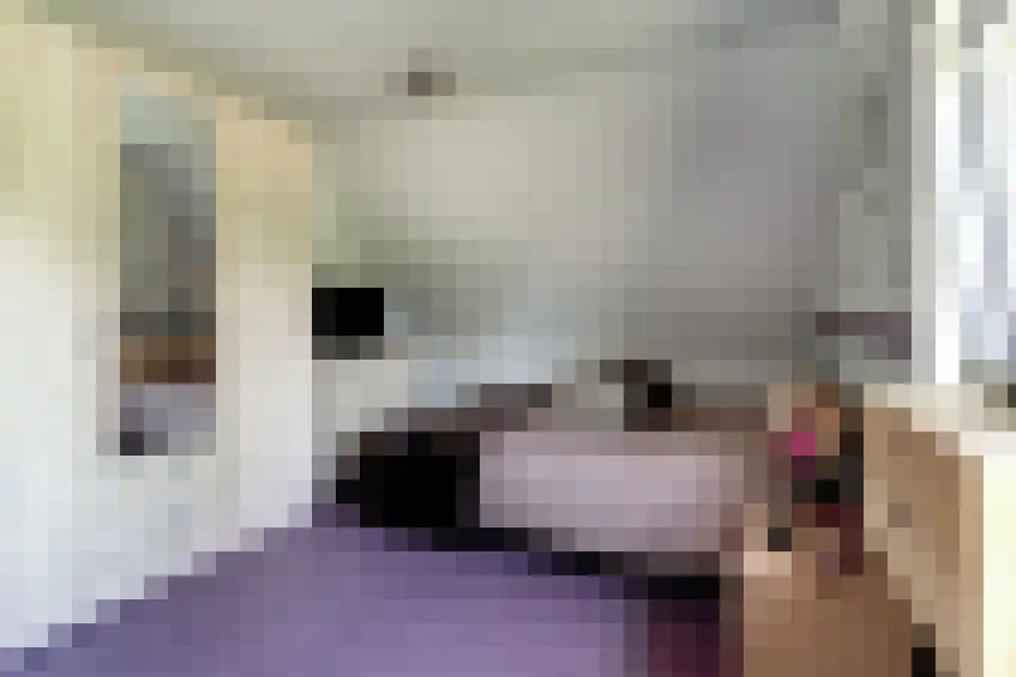 Holtpasweg 3 Beek thumbnail 50
