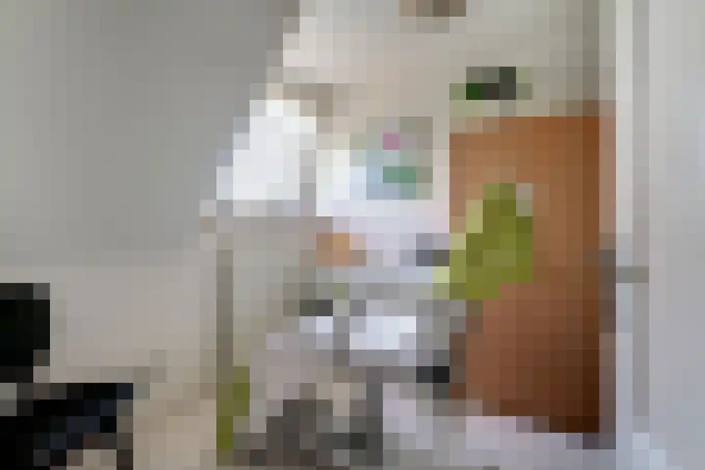 Holtpasweg 3 Beek thumbnail 55