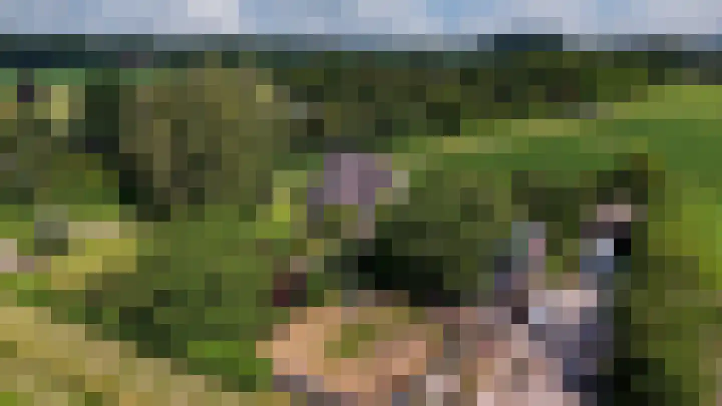 Holtpasweg 3 Beek thumbnail 57