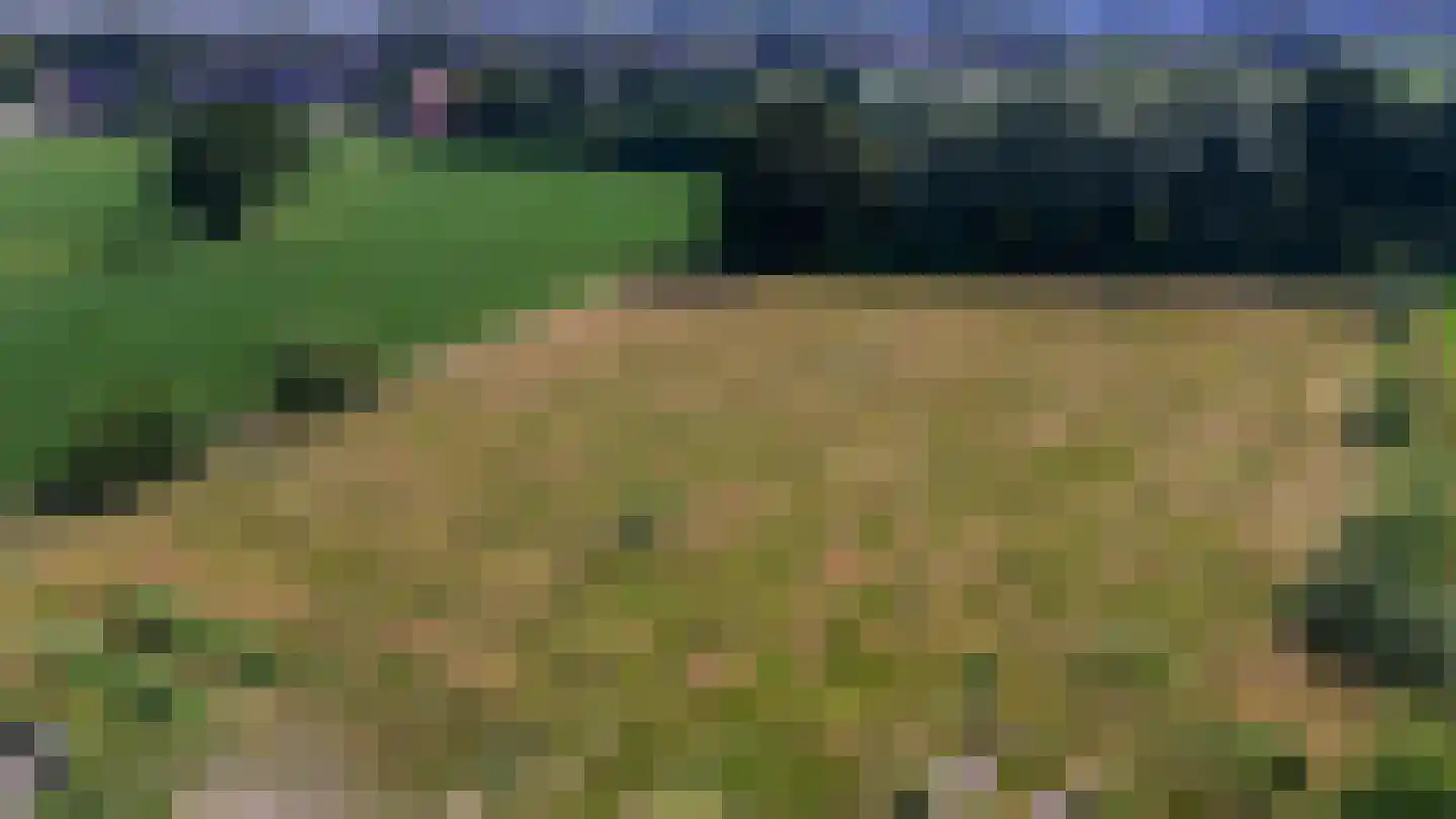 Holtpasweg 3 Beek thumbnail 58