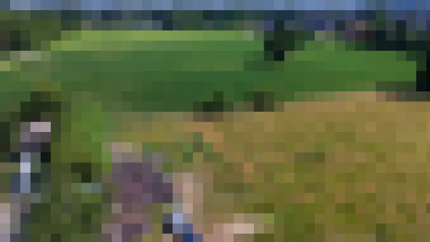 Holtpasweg 3 Beek thumbnail 59